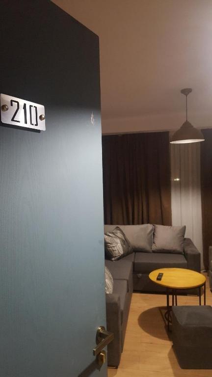 Бакуриани: Room in aparthotel Mgzavrebi X Bakuriani