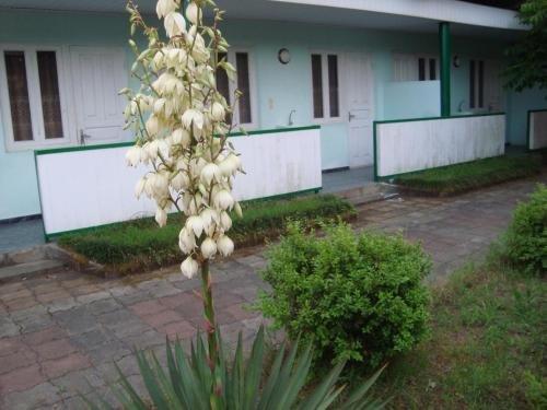 Шекветили: Black Beach Guest House