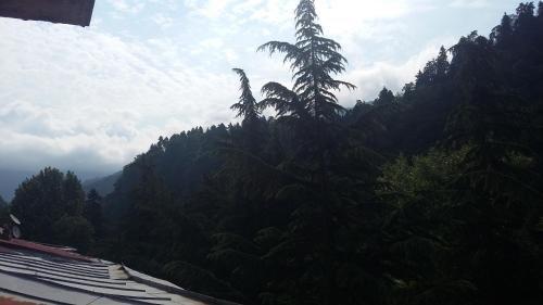 Боржоми: Guesthouse Malkhaz