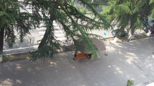 Боржоми: Guesthouse Malkhaz