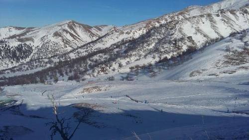 Боржоми: Guesthouse Malkhaz