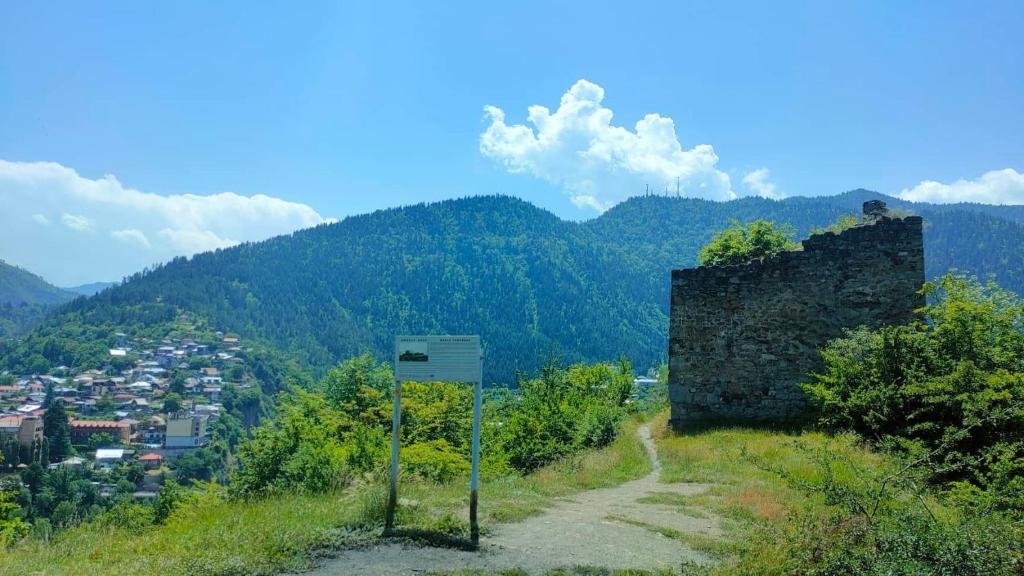 Боржоми: guest house gogias cixe