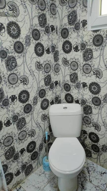 Боржоми: guest house gogias cixe