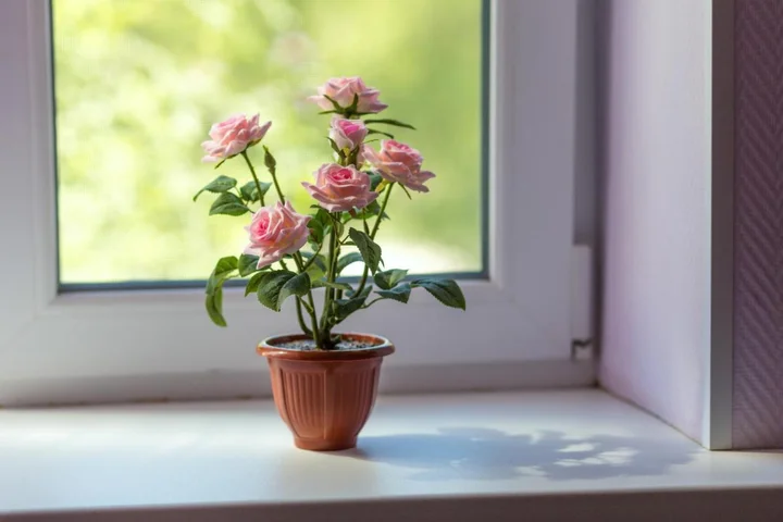 Волжский: Гостиница "Солнечная"