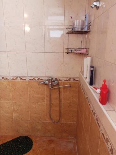 Верхняя Эшера: Guesthouse Psyrtskha