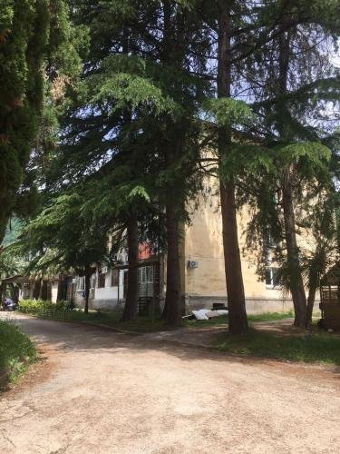 Новый Афон: Guest House in the Center