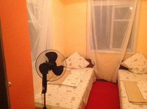 Новый Афон: Solomon Guesthouse
