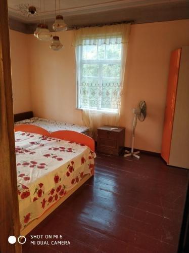 Новый Афон: Solomon Guesthouse