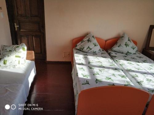 Новый Афон: Solomon Guesthouse