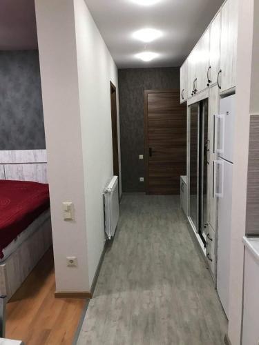 Бакурианский Андезит: AREA PARK Bakuriani