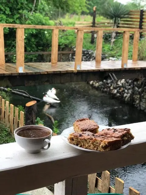 Алахадзи: Арарат
