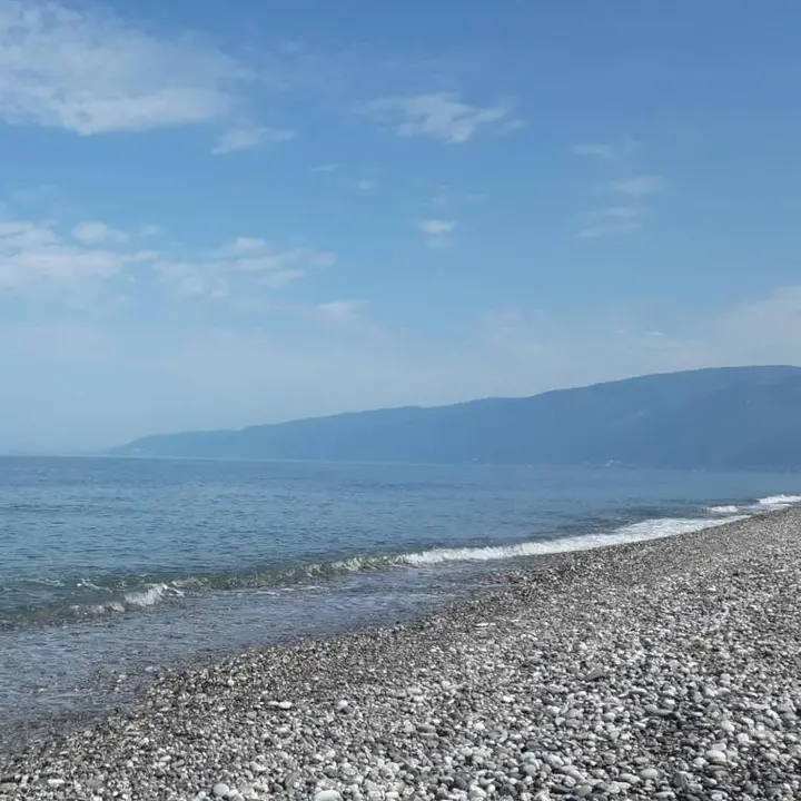 Алахадзи: Арарат