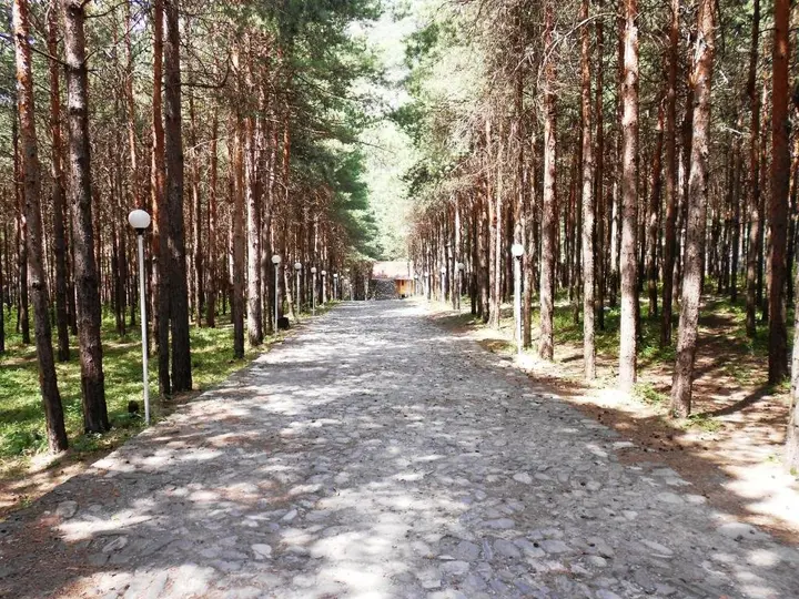Шеки: Санаторий Health Resort Narin Qala Resort