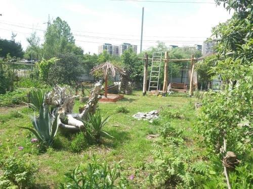 Пицунда: Guest house Lev