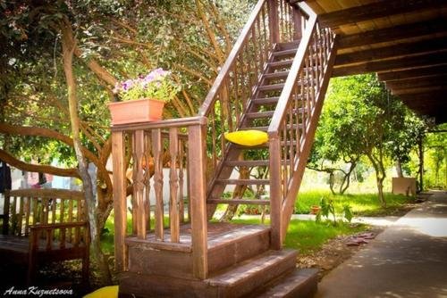 Пицунда: Guest house Lev