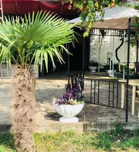 Пицунда: Guest House Dana