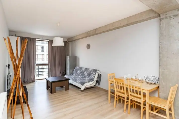 Bright & Stylish Apt. in the Center of Bakuriani — фото 4