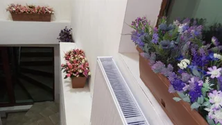Бакуриани: Sweet Home