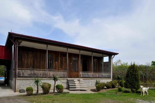 Анаклия: Romeo House