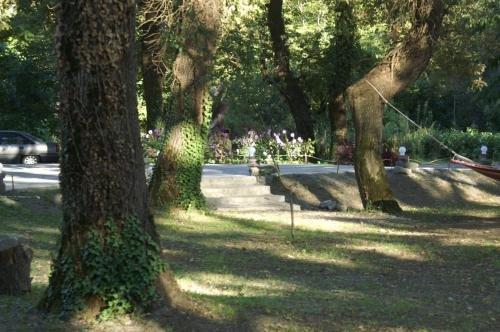 Кварели: Kvareli Oaks
