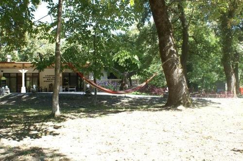Кварели: Kvareli Oaks