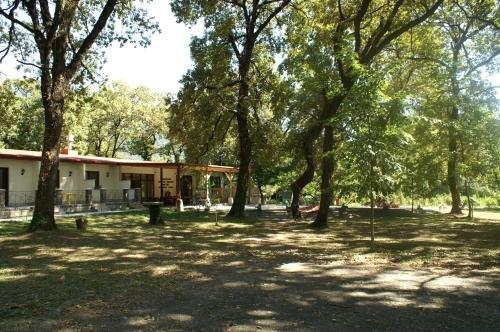 Кварели: Kvareli Oaks