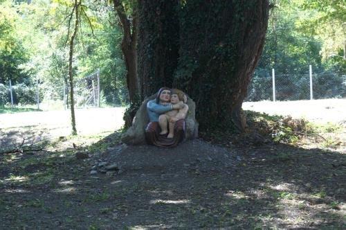 Кварели: Kvareli Oaks