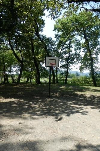 Кварели: Kvareli Oaks