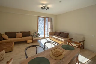 Бакуриани: Didveli Valley Bakuriani