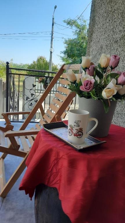 Цинандали: Family Hotel Tsinandali