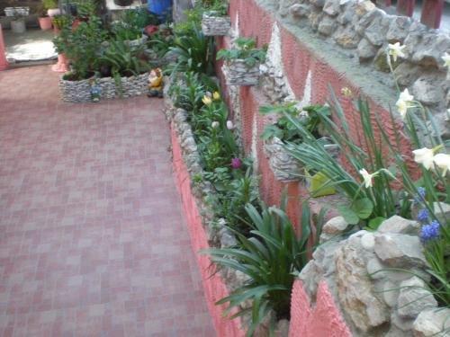 Гагра: General Dbar Guest House