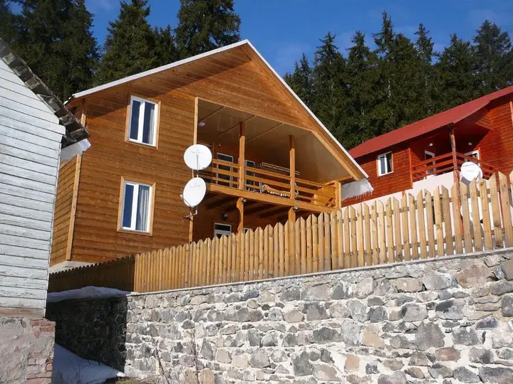 Cottage Chalet in Bakuriani — фото 3