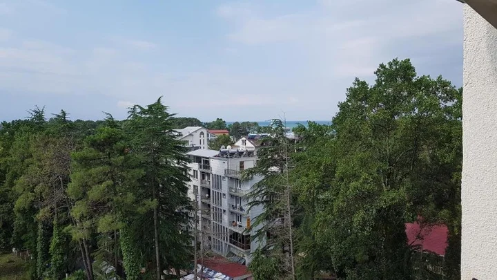 Уреки: Pearl of Ureki