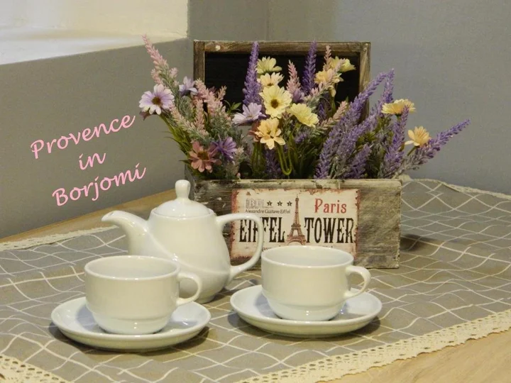 Боржоми: Nikas Guest House