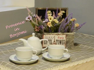 Боржоми: Nikas Guest House