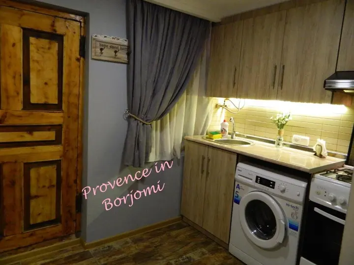 Боржоми: Nikas Guest House