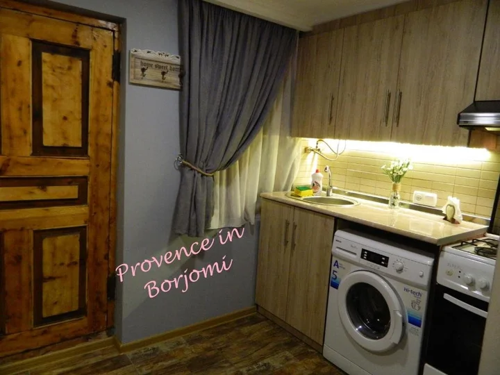 Боржоми: Nikas Guest House