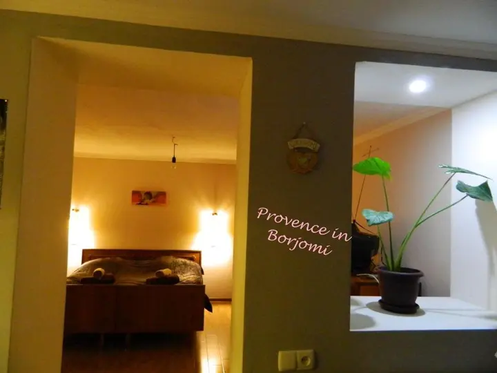 Боржоми: Nikas Guest House