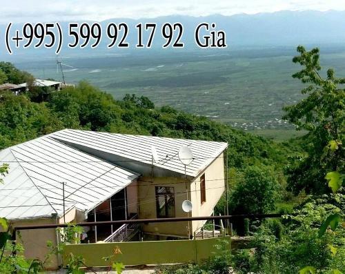 Сигнахи: Martinichi Guest House
