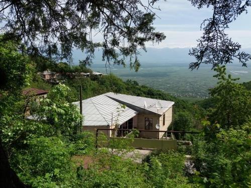 Сигнахи: Martinichi Guest House