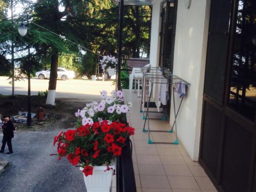 Новый Афон: RT-Hotel