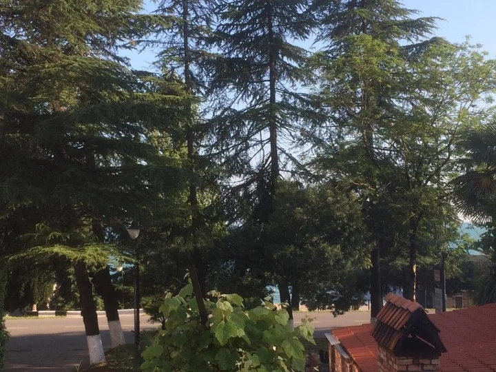 Новый Афон: Priboj