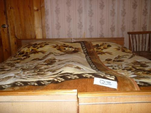 Дарчели: Nika Guest House