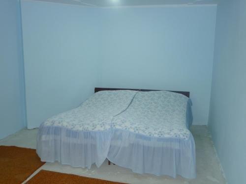 Дарчели: Nika Guest House
