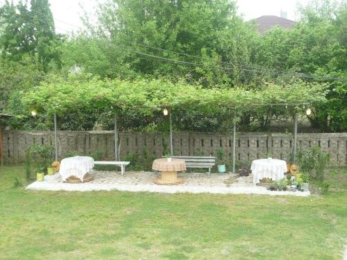 Дарчели: Nika Guest House