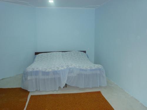 Дарчели: Nika Guest House