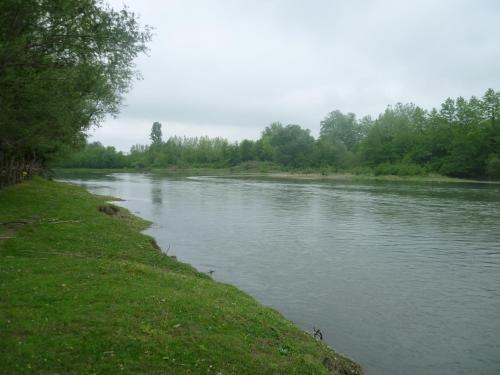 Дарчели: Nika Guest House