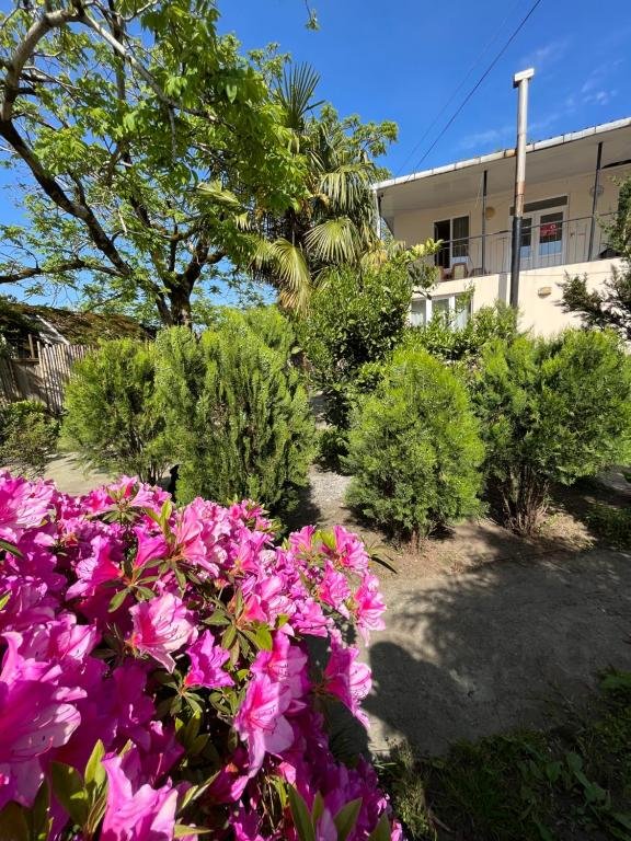 Уреки: Ureki Beach Apartment