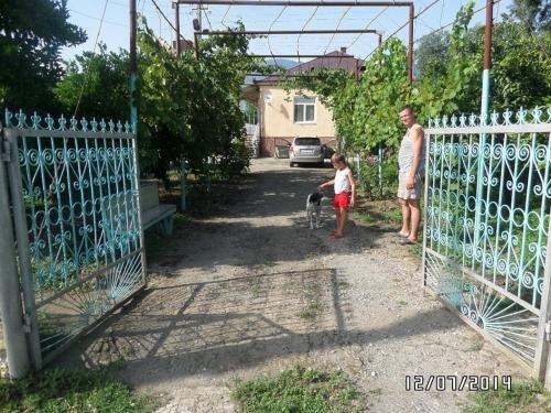 Алахадзи: U Vili
