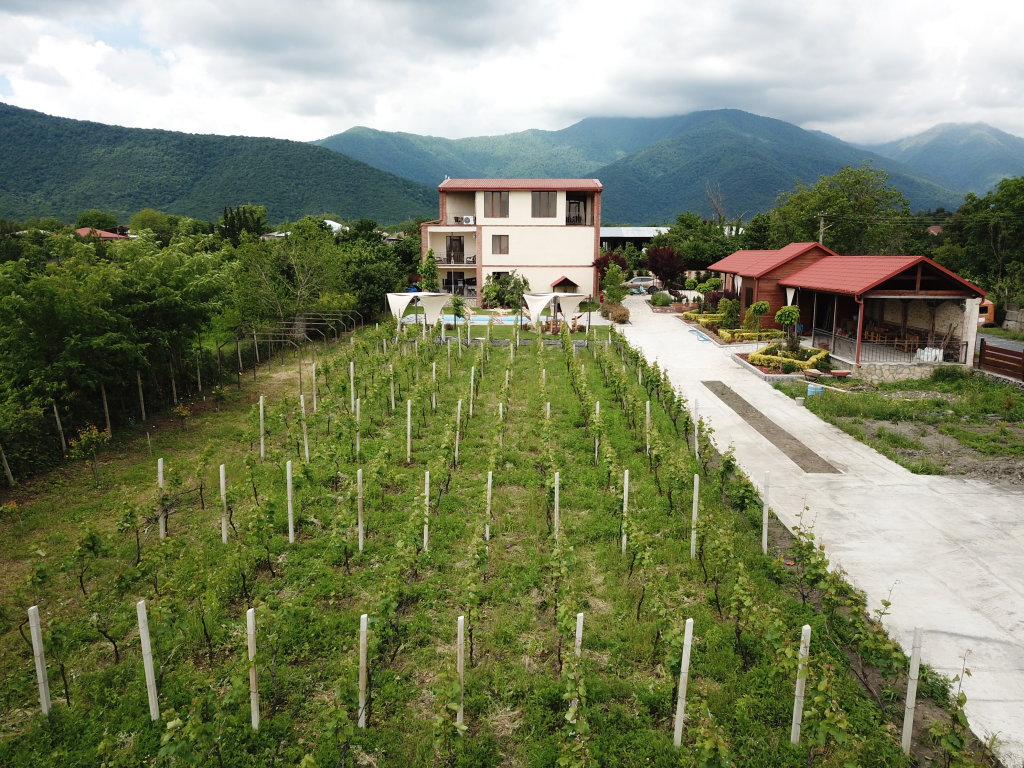 Кварели: Вилла Vitis